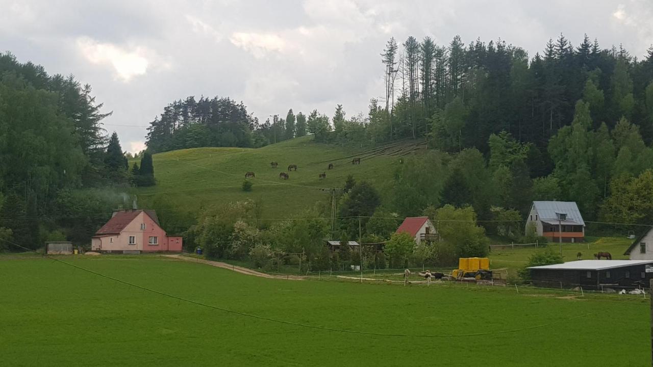 Przystanek Patulskie Pierszczewo Dış mekan fotoğraf